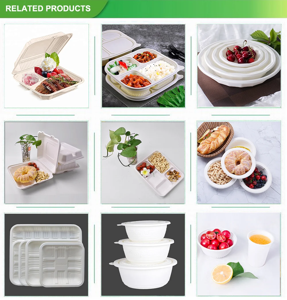  Cornstarch Sugarcane Bagasse Biodegradable Food Containers Wholesale
